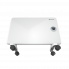 Конвектор электрический THERMEX Frame 1000E
